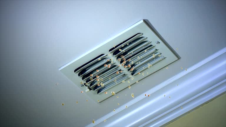 Affordable HVAC Duct Cleaning in Rossville, GA